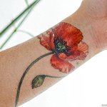 tatouage-coquelicot