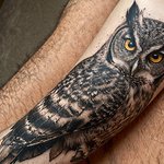 tatouage hibou homme